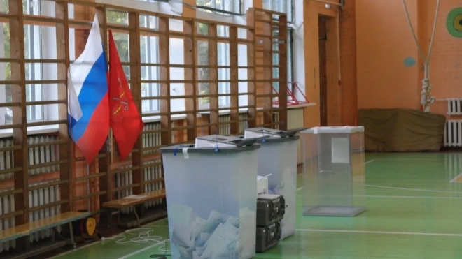 На выборах президента РФ в Петербурге будут присутствовать общественные наблюдатели из Вьетнама и Индии