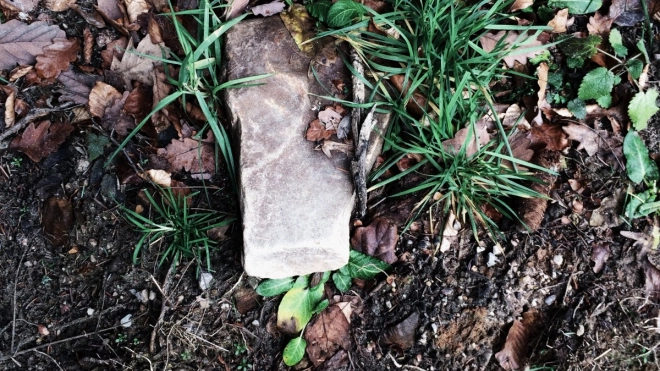 В Лодейнопольском районе нашли останки человеческих тел времен ВОВ