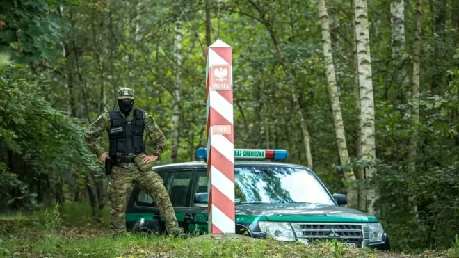 Пограничники Польши задержали гражданина РФ за пособничество нелегалам на границе