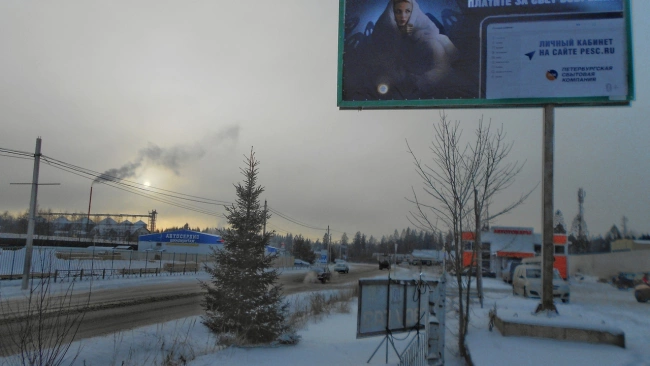 Жителям Ленобласти о необходимости вовремя оплачивать электроэнергию напомнили яркие билборды от ПСК