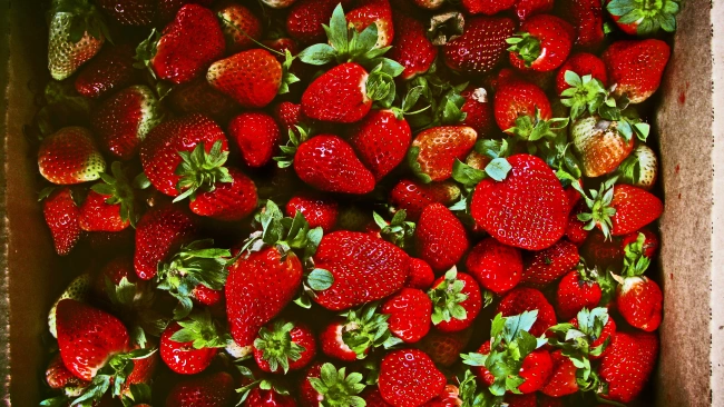 Жители России стали активнее покупать ягоды