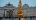 Главная елка на Дворцовой площади нравится каждому второму петербуржцу