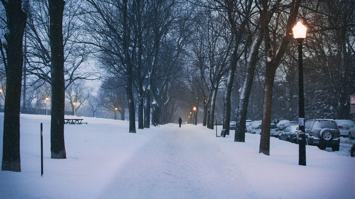 Смольному потребуется почти два месяца, чтобы очистить Петербург от выпавшего снега