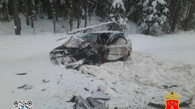 В лобовой аварии на трассе "Вологда – Тихвин" погиб водитель Skoda