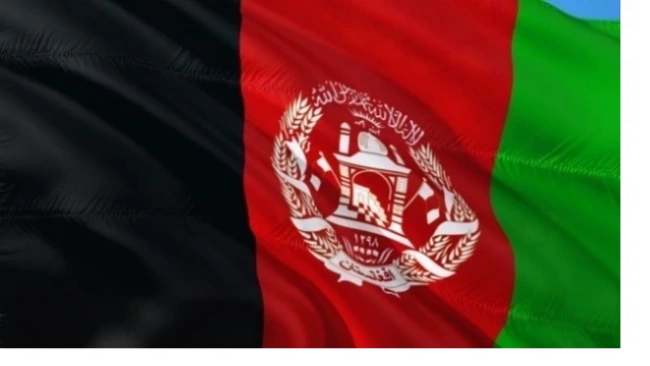 СМИ: приход талибов к власти в Афганистане привел к росту цен на опиум на черном рынке*