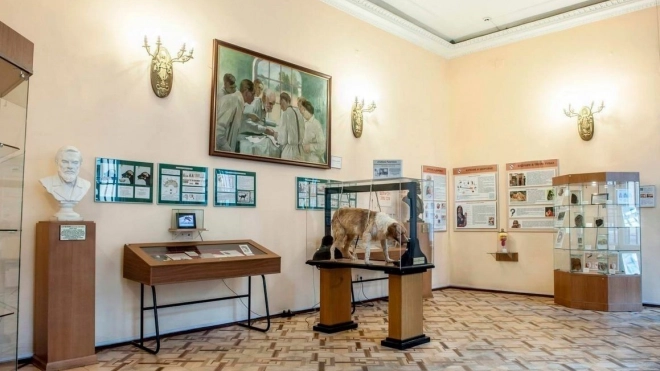 В Петербурге в понедельник откроется выставка к 100-летию санэпидслужбы России