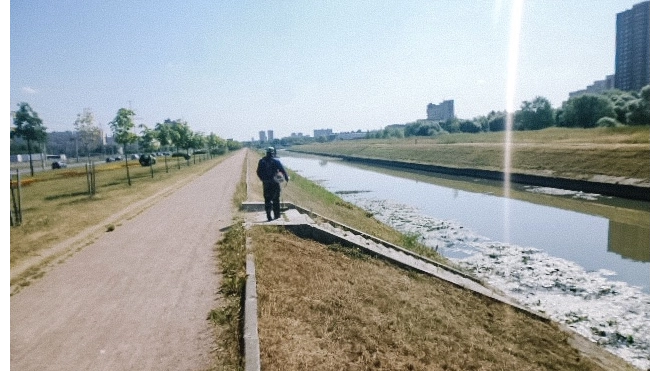 Дудергофский канал в Красносельском районе очистили от водорослей