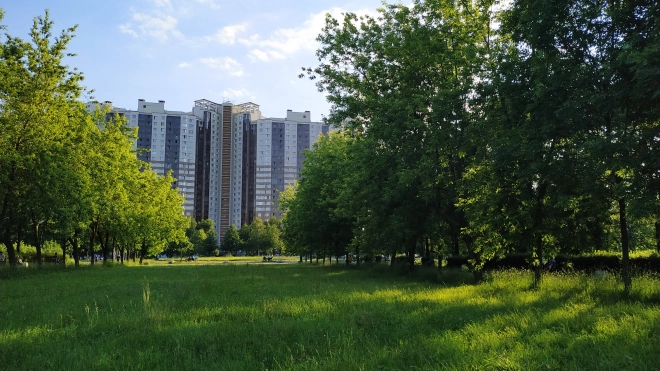 Эксперты спрогнозировали ситуацию на петербургском рынке съемного жилья осенью