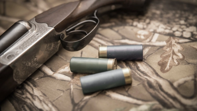 Женщина случайно подстрелила себя во время охоты в Ленобласти