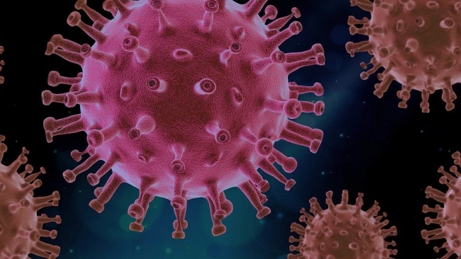 МИД: В Оперштабе РФ готовят новые ограничения в связи с новым штаммом коронавируса