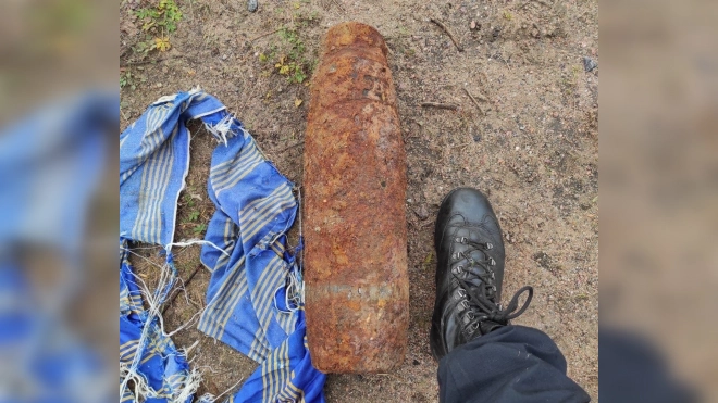 В Комарово на пляже нашли вымытый снаряд времен войны