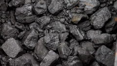 Петербургская топливная фирма отсудила у покупателя угля 8,2 млн рублей