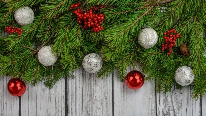 В лесничествах Ленобласти можно получить бесплатную новогоднюю ёлку с 1 декабря 