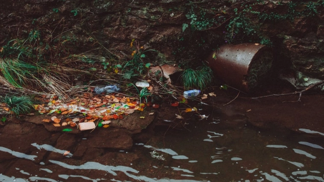 Во время уборки реки Смоленки горожане собрали 243 мешков с мусором