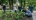 В Князь-Владимирском сквере победители "Парада садов" высадили многолетние растения 