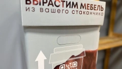 Производство мебели из переработанных грибами пластиковых отходов открыли в Петербурге