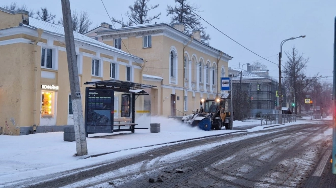 Зима вернулась в Петербург: коммунальщики убрали почти 1800 кубометров снега за выходные