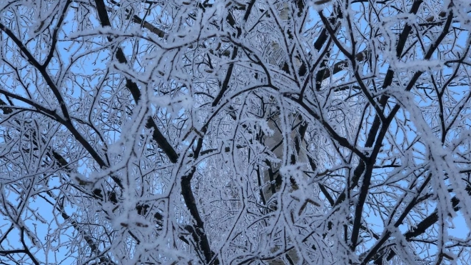 На севере Ленобласти 28 декабря похолодает до -23 градусов
