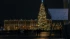 Петербуржцы смогут выбрать елку для установки на Дворцовой площади 