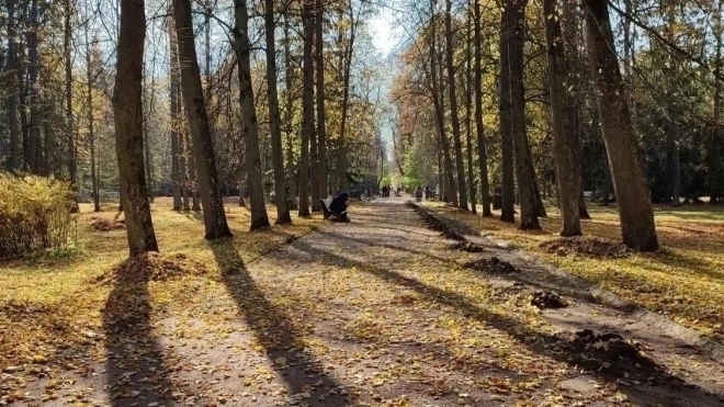 В Петербурге 25 сентября может быть установлен температурный рекорд