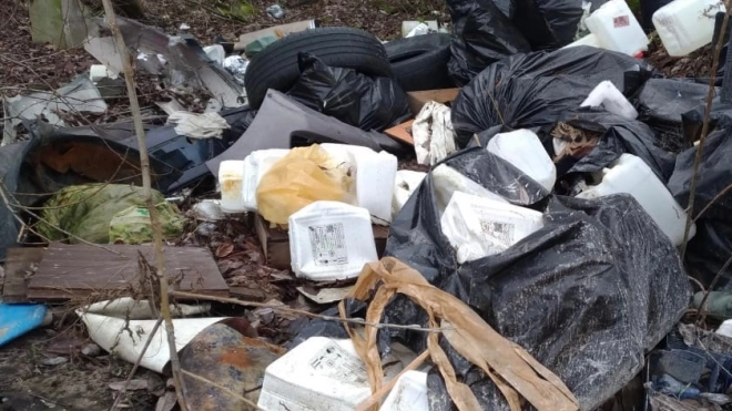 Более 180 кг химических отходов собрали петербургские экологи за неделю