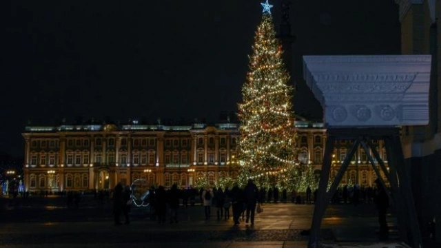 Смольный: на Дворцовой площади к Новому году будет установлена ель 25 метров