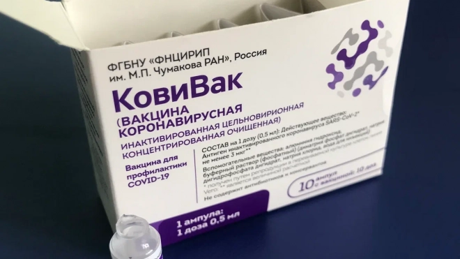 В Петербурге коллективный иммунитет превысил 80%