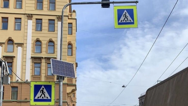 В семи районах Петербурга в 2024 году установят новые светофоры Т7