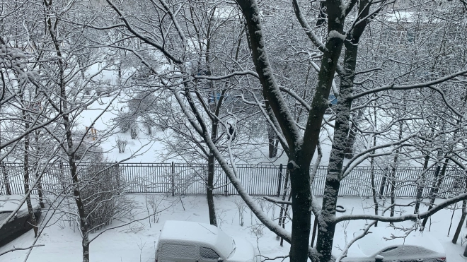 В МЧС предупредили о сильном снегопаде в Петербурге 5 марта