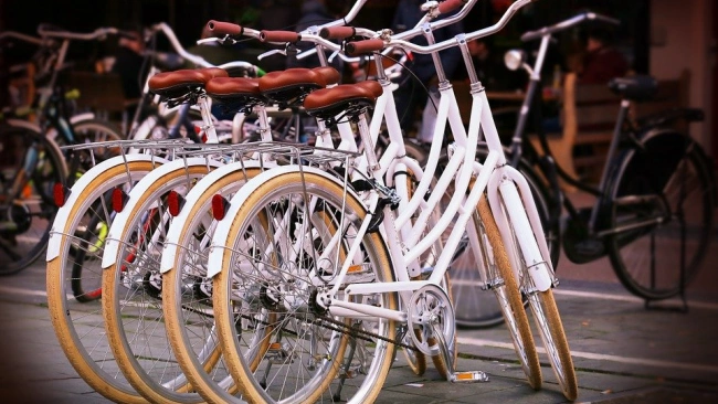 Продажи велосипедов в Петербурге по итогам сезона снизились на 20-35%