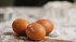 Ленобласть остается лидером по производству яиц в стране 