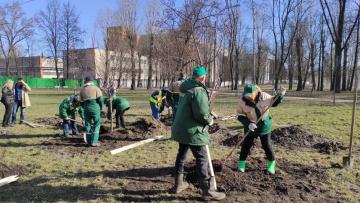 Виноградовский сквер пополнился десятью новыми яблонями