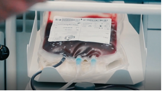 Более 700 доноров сдали кровь в Ленобласти