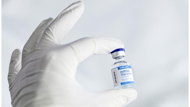 Минздрав Турции одобрил российскую вакцину для экстренного применения