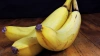 Бананы из Эквадора в российских магазинах смогут заменит...