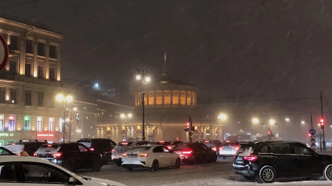 В Петербурге минувшая ночь стала самой холодной с начала года