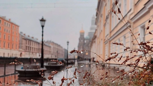 Синоптики прогнозируют мокрый снег в Петербурге 20 октября
