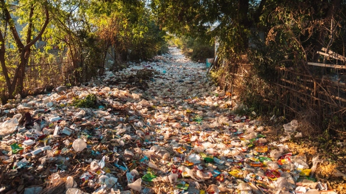 Власти Ленобласти отказались от площадки для мусорного полигона под Гатчиной из-за близости к садоводству