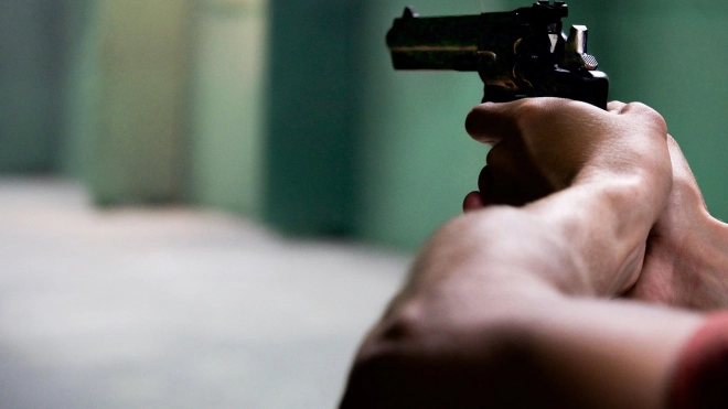 Стрельба из списанного оружия в Ленобласти закончилась задержанием