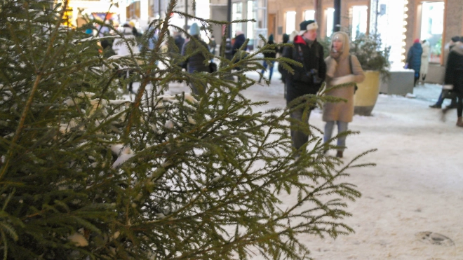 В Петербурге 17 февраля температура будет на 3-4 градуса ниже климатических значений