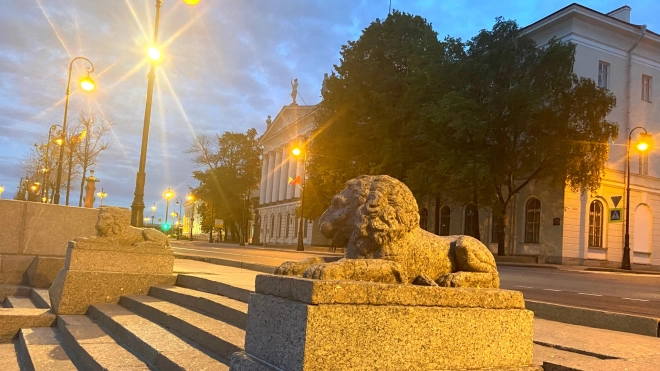 Три скульптуры Петербурга получили новую подсветку ко Дню города