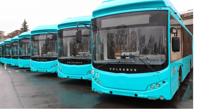 На новые автобусы для Соснового Бора намерены выделить 60,7 млн рублей 