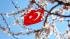 Турция продлила ПЦР-тестирование для туристов до конца марта