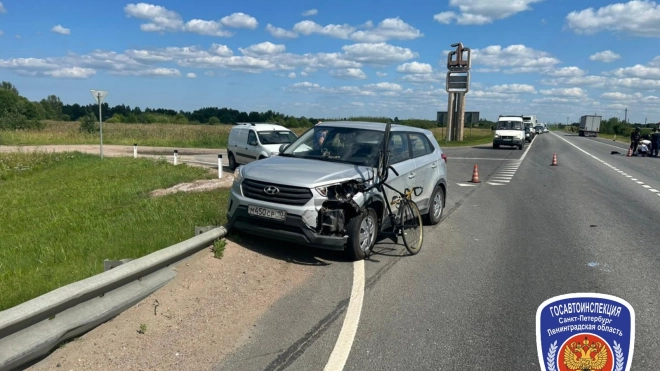 Велосипедист испугался собаки и попал под встречный автомобиль в Ленобласти 