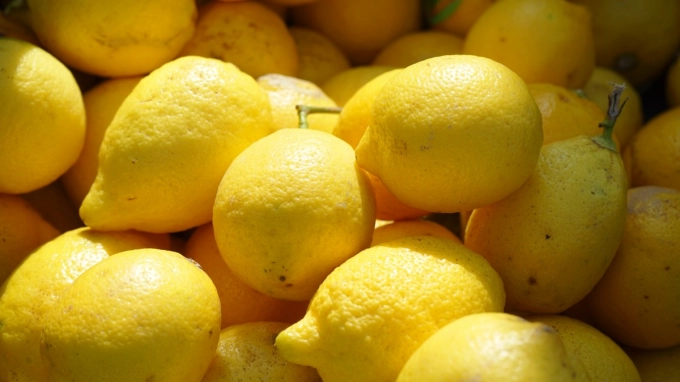 В порту Петербурга обнаружили имаго многоядной мухи-горбатки в партии свежих лимонов