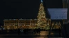 Петербуржцы смогут выбрать елку для установки на Дворцов...