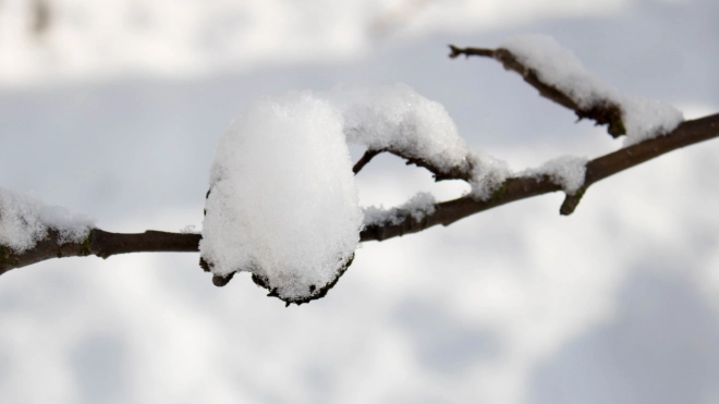 В Петербурге 28 января ожидается небольшой снег и гололедица