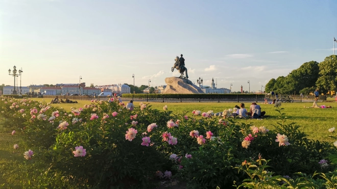 Петербуржцам рассказали, какая погода ожидается в начале июня