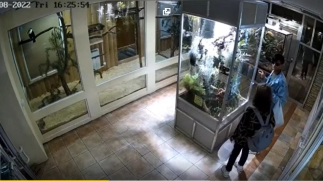 Суд арестовал обвиняемую в похищении ящерицы из Ленинградского зоопарка