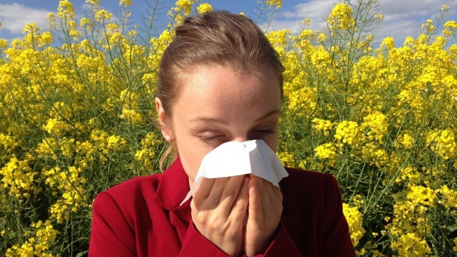 Врачи дали рекомендации по подготовке к периоду аллергий